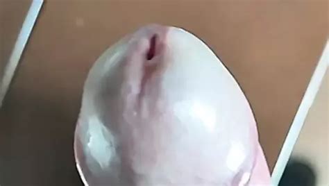 Rovdir Gay Porn Videos Sex Model Nudes XHamster