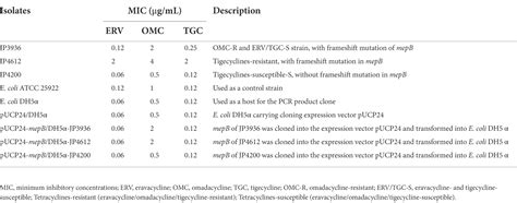 Frontiers In Vitro Antimicrobial Activity And Resistance Mechanisms