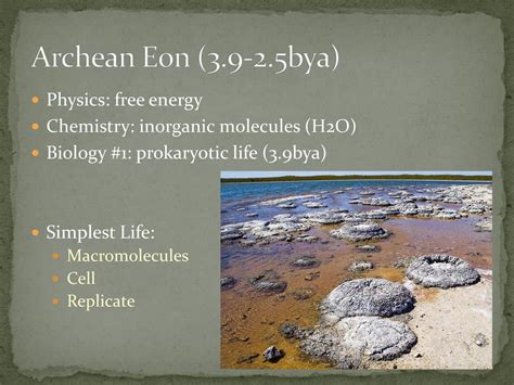 The History Of Life On Earth Ppt Download