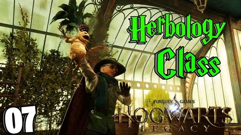 HOGWARTS LEGACY Herbology Class Ep07 With Akan22 PC Walkthrough