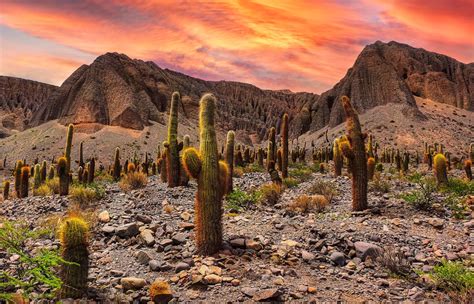 Oto O En Argentina Descubr Lugares Que No Podes Dejar De Visitar