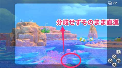 【ポケモンスナップ】かわいい潮吹きをの攻略 ホエルコのリクエスト【ポケスナswitch】 ゲームウィズ