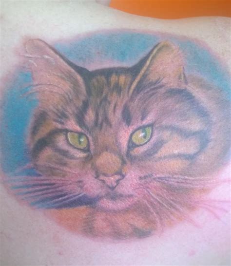 Orange Cat Portrait Tattoos