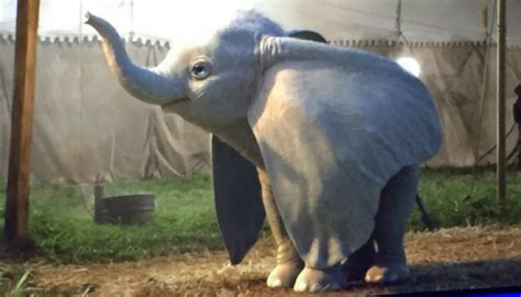 Dumbo Ecco Il Teaser Trailer Del Live Action