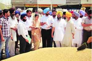 After 25 Days Wheat Procurement Crosses 100 Lakh Tonne Mark In Punjab