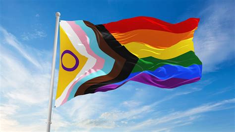 Bandera LGBTIQ qué significados tiene la nueva versión El Financiero