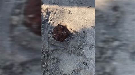 Couple Finds Civil War Cannonballs On Folly Beach After Hurricane Dorian