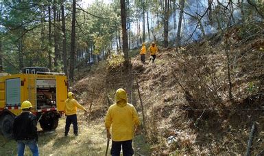 Apagan incendio en el Parque Cumbres de Monterrey Comisión Nacional