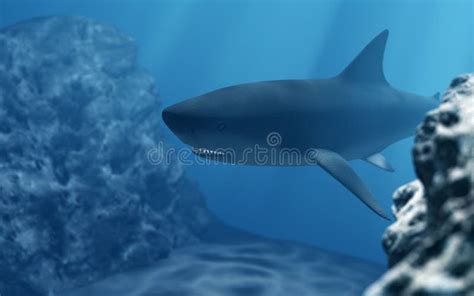 Shark diving in deep sea stock image. Image of aquatic - 57542365