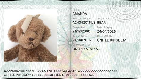 Teddy Bear Passport Travel Photo Card Id Maker With Travel Stamps By E Creation Limited