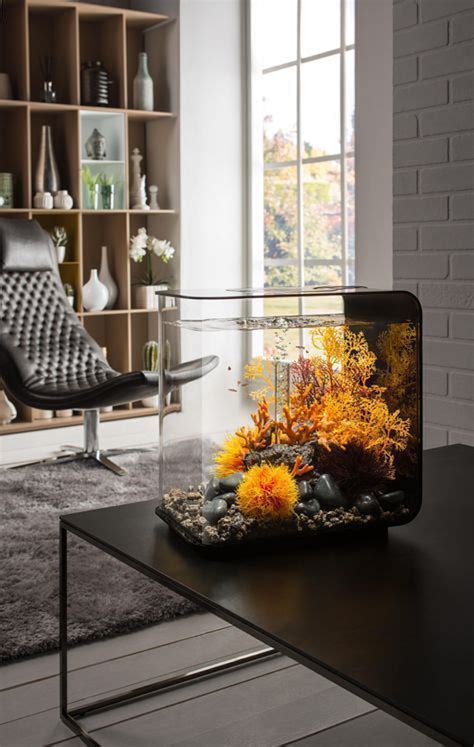 35 Modern Mini Aquarium Designs For Your Small Spaces OBSiGeN