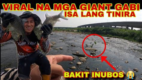 Viral Na Mga Giant Ligaw Na Gabi Naglaho Bigla Sa Ilog Na Ito