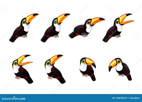 Cute Toco Toucan Vector Illustration For Kids Isolated On White