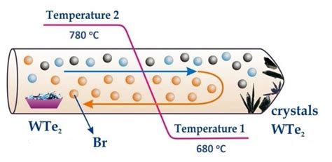 Fig Schematics Of WTe 2 Single Crystals Growth Process By CVT Method