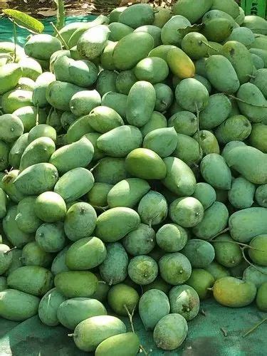 Green Junagadh Kesar Mango Carton Packaging Size 10 Kg At Rs 1800