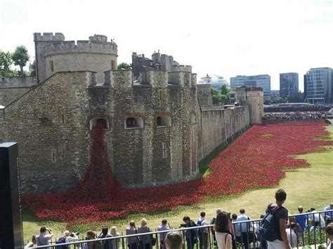 Tower of London, poppy field of Remembrance 1914 -2014 | Tower of ...