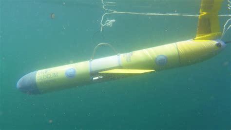 Underwater Robot Deployed To Aid Endangered Right Whales Off Georgia