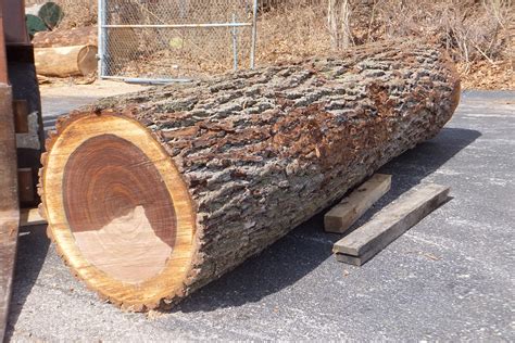 Log