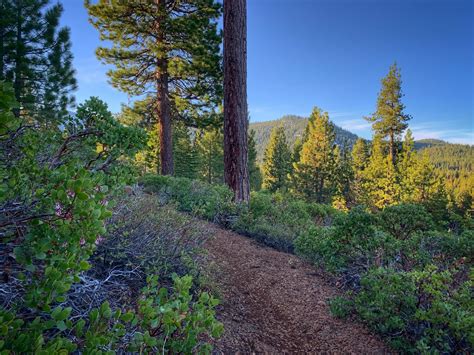 Spring Trail Conditions Update