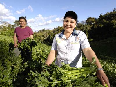 En Centroamérica se fortalecen las capacidades productivas de las