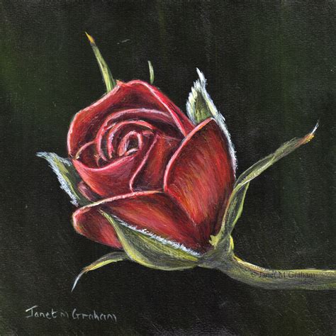 Floral Art Rose Painting Red Rose SFA Original Floral Acrylic Painting Gift Wall Art Realistic ...