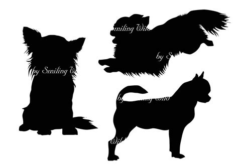 Chihuahua Silhouette Pictures