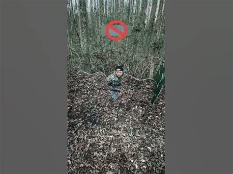 Зеркальная ширма #охота #рыбалка - YouTube