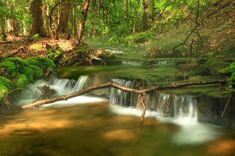 Image libre eau bois nature feuilles rivière forêt paysage