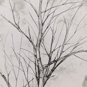 Original Birch Tree Drawing By Erica Harney Pencil And Ink Drawing