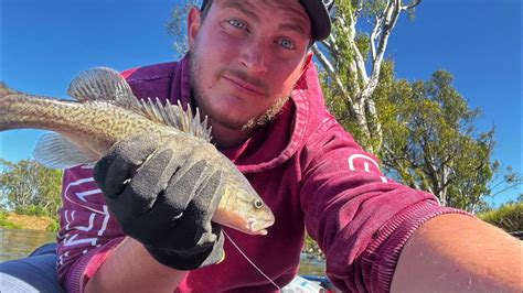 Cod Classic 2021 My Fishing Trip Cod Fishing Murray River Murray