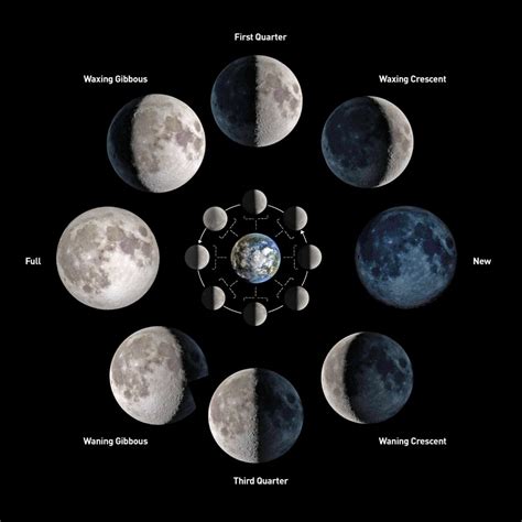 Moon Phase Diagram 4 Phases Lunar Phase Moon Diagram Phases