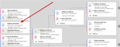 Checking the New Online Mayflower Descendants Database for My Mayflower ...
