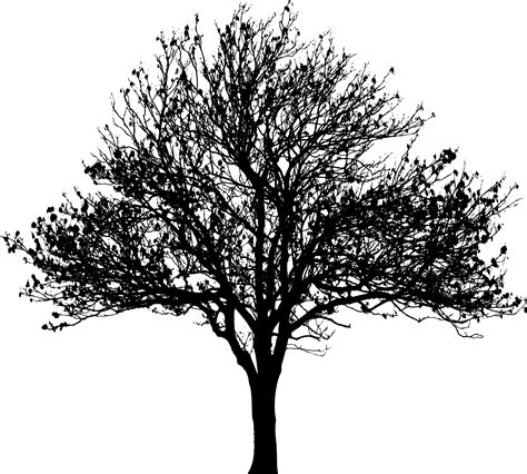 Clipart - Winter Tree Silhouette