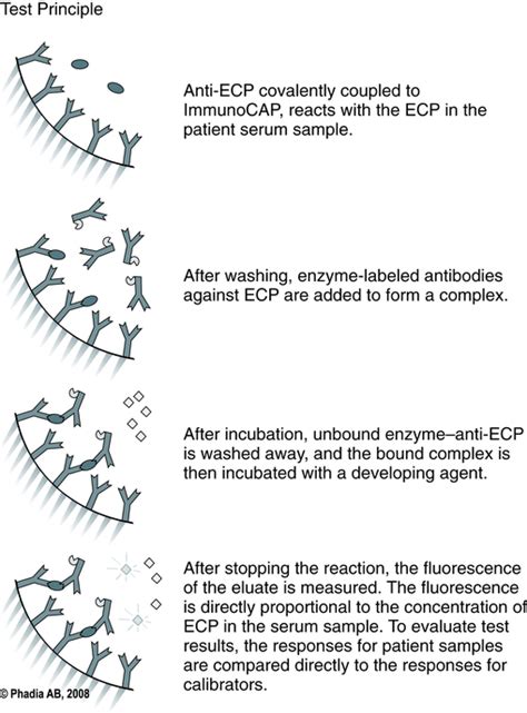 Hypersensitivity Reactions Oncohema Key