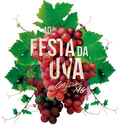 Festa da Uva 2015 on Behance