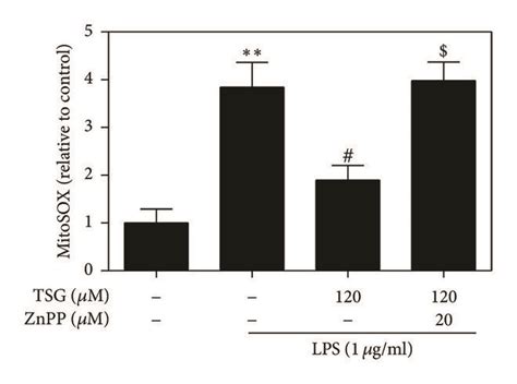 Tsg Restored Mitochondrial Function In Lps Treated Raw2647 Cells Via