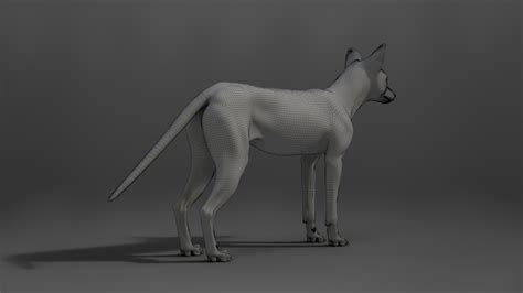 Red Fox Animation | Blender 3D Model | VFX Grace