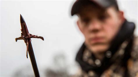 Best Broadheads For Whitetail Bowhunting | Bowhunt 101