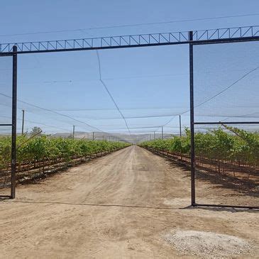 Agromallas Peru Sac Mallas Anti P Jaros Y Corta Vientos Instalaci N