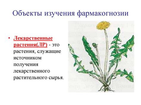 Фармакогнозия как наука - online presentation