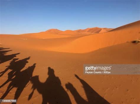 Errachidia Province Photos And Premium High Res Pictures Getty Images