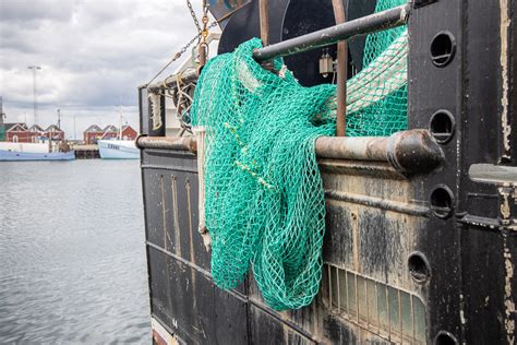 Ekspert Om Bundtrawls Rapport Negativ P Virkning Af Bunddyr Skyldes