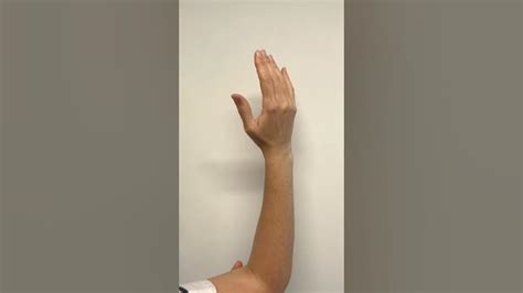 Wrist Pronationsupination Youtube