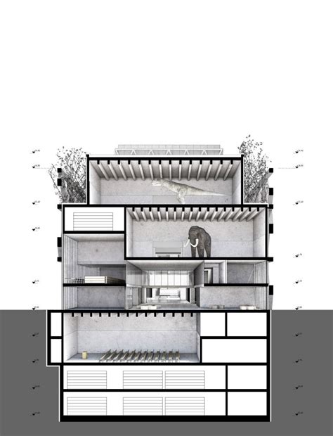 Neubau F R Naturhistorisches Museum Und Staatsarchiv Em N Gewinnen