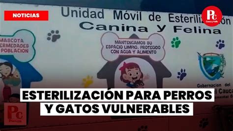 Atención Gratuita para Mascotas de Familias Vulnerables Actualizado