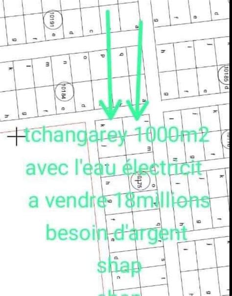 1000 m2 avec 3 Voies Eaux et Électricité Disponibles EXPRESS