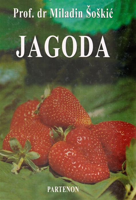 Jagoda