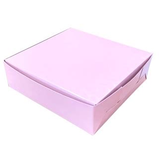 Cake Box Pizza Box Packaging Box Packing Box Kotak Kuih Talam Kuih Box