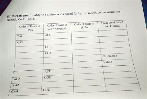 SOLVED III Directions Identify The Amino Acids Coded For By The MRNA