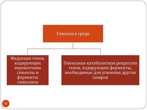 Транскрипция. Регуляция транскрипции - презентация онлайн